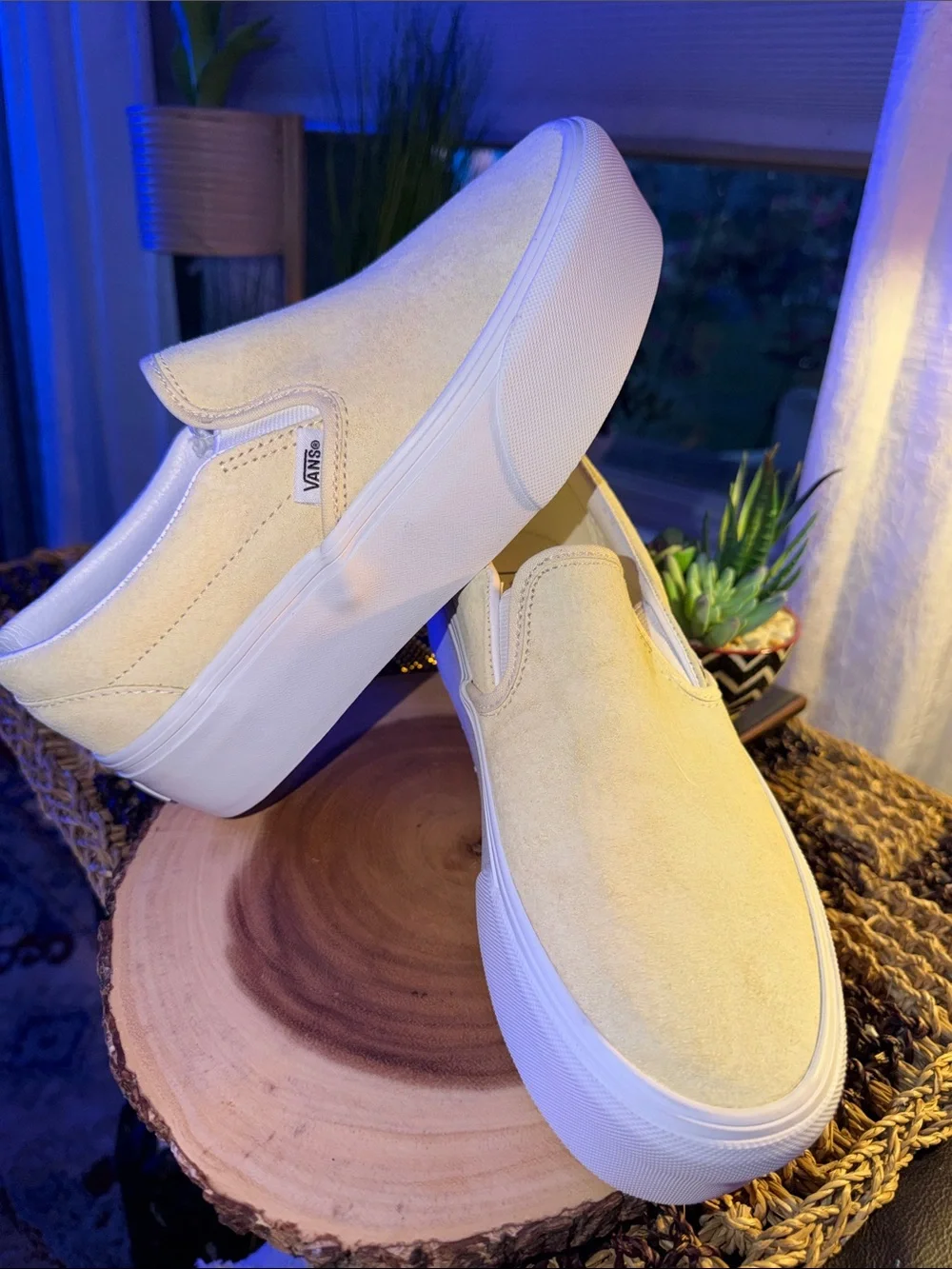 Vans clean elevated